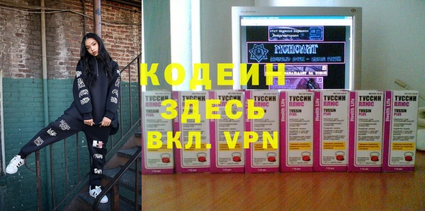 ешки Иннополис