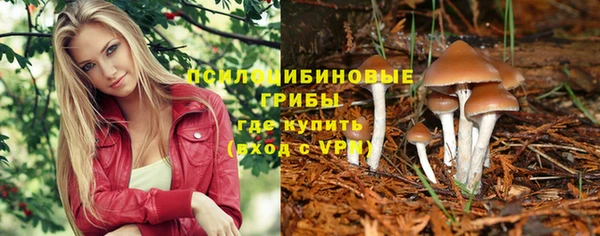 прущие крисы Инта