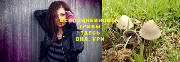прущие крисы Инта
