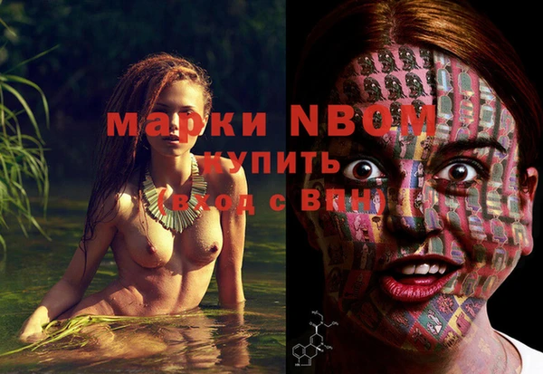 ешки Иннополис